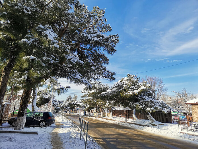 Изображение из альбома «Зима на югах»