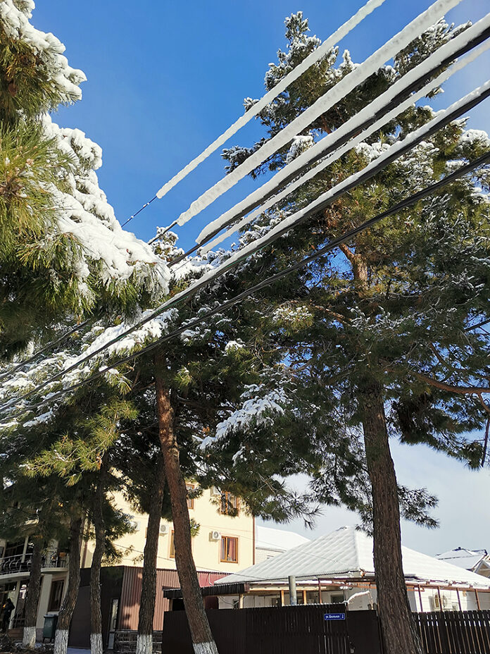 Изображение из альбома «Зима на югах»