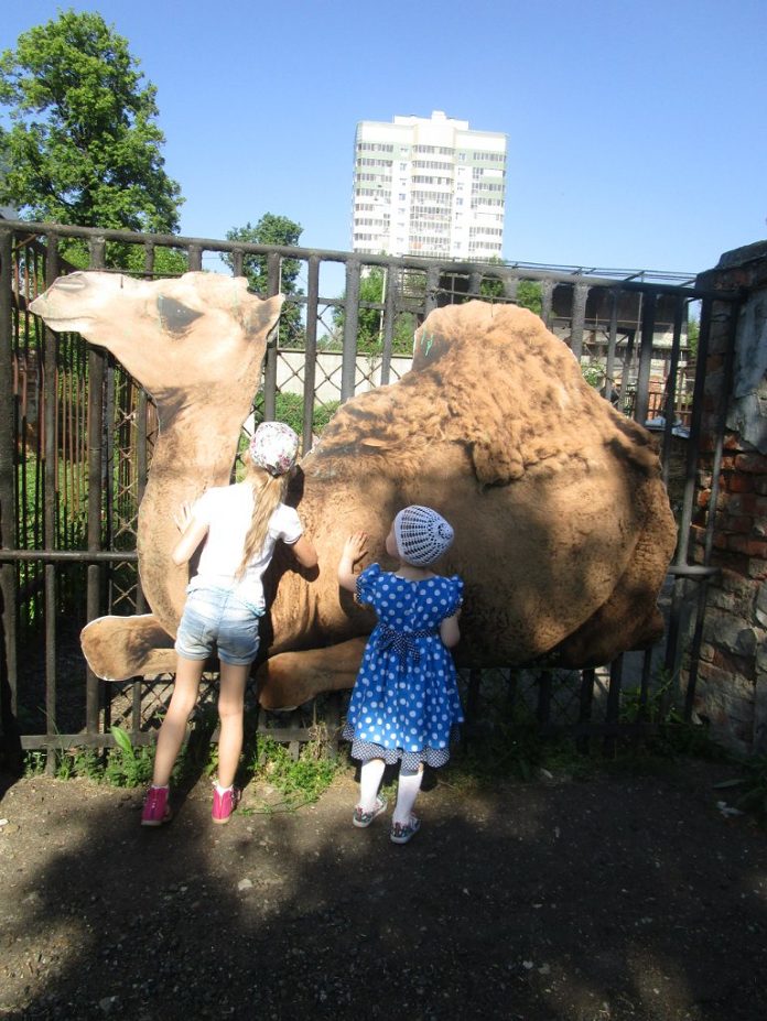Изображение из альбома «Зоопарк 29.05.16»